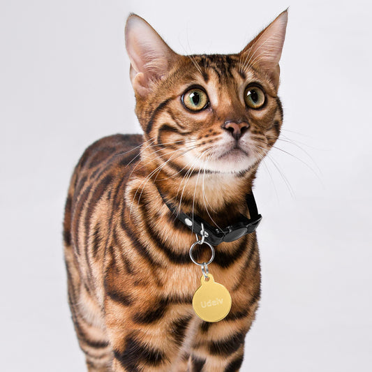 Udelv Engraved Pet ID Tag